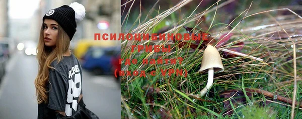 мяу мяу мука Пролетарск