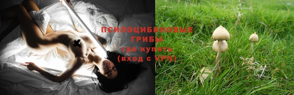 мяу мяу мука Пролетарск