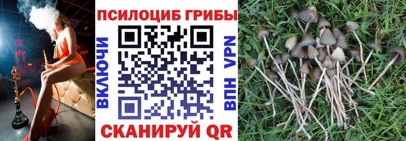 даркнет сайт  Себеж  Галлюциногенные грибы прущие грибы 